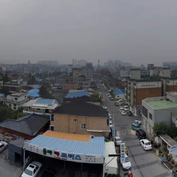 라운지 미나포레스트 테라피 대표 안내 이미지