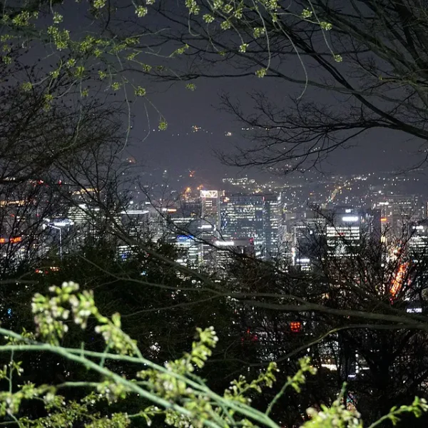 블랑 보미아지트 테라피 제휴업체 이미지