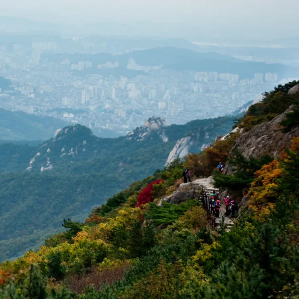 아로마 해온포레스트 마사지 제휴업체 이미지